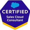 Sales Cloud Consultant